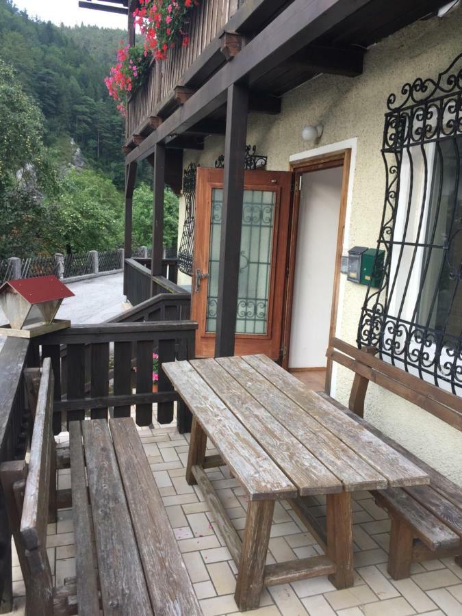 Ferienwohnung Nr.1 Hollenstein an der Ybbs المظهر الخارجي الصورة
