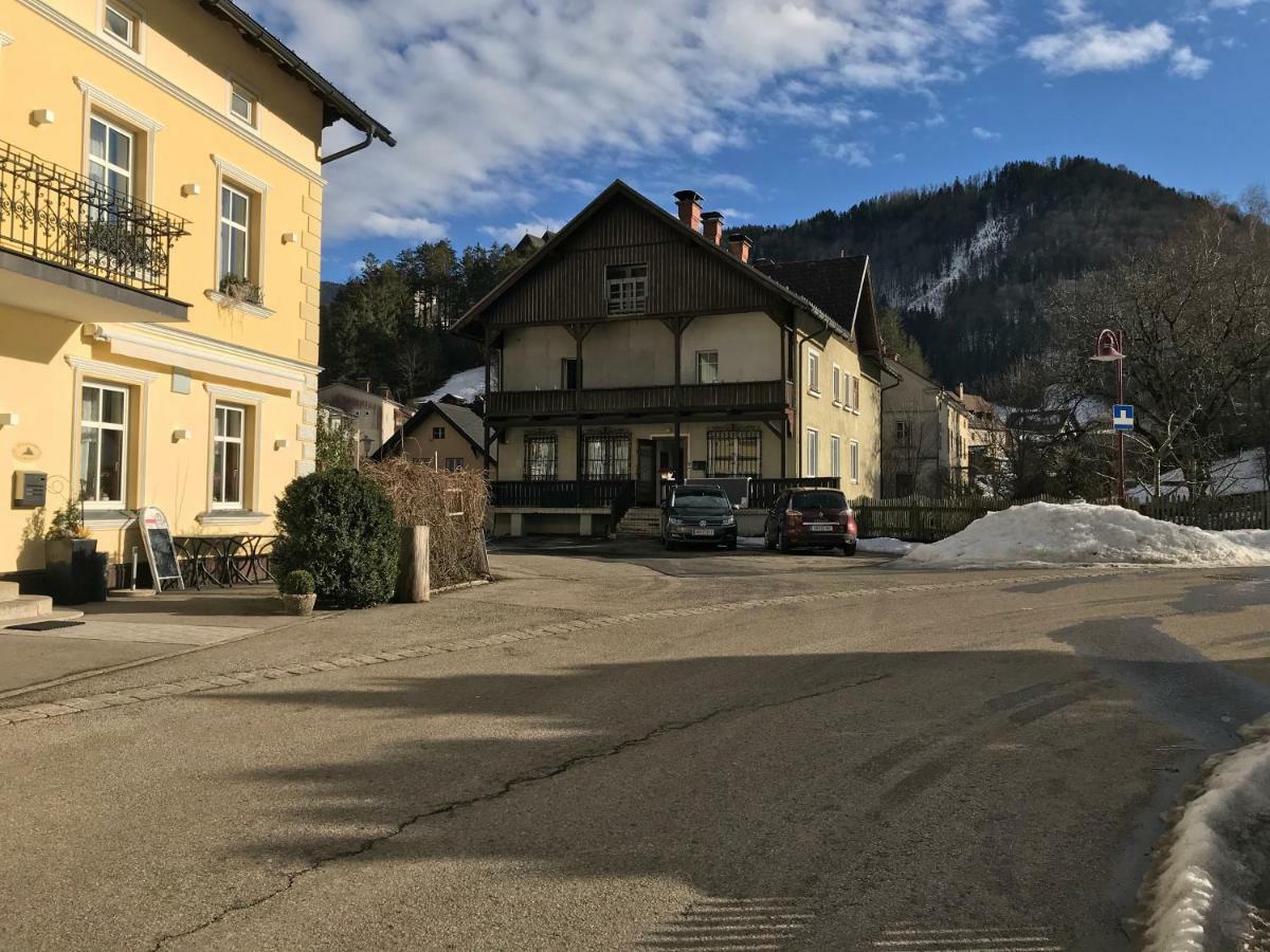 Ferienwohnung Nr.1 Hollenstein an der Ybbs المظهر الخارجي الصورة