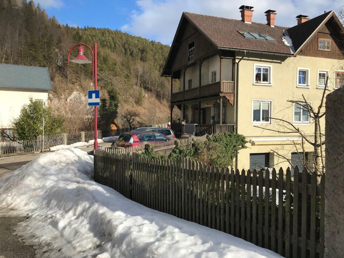 Ferienwohnung Nr.1 Hollenstein an der Ybbs المظهر الخارجي الصورة